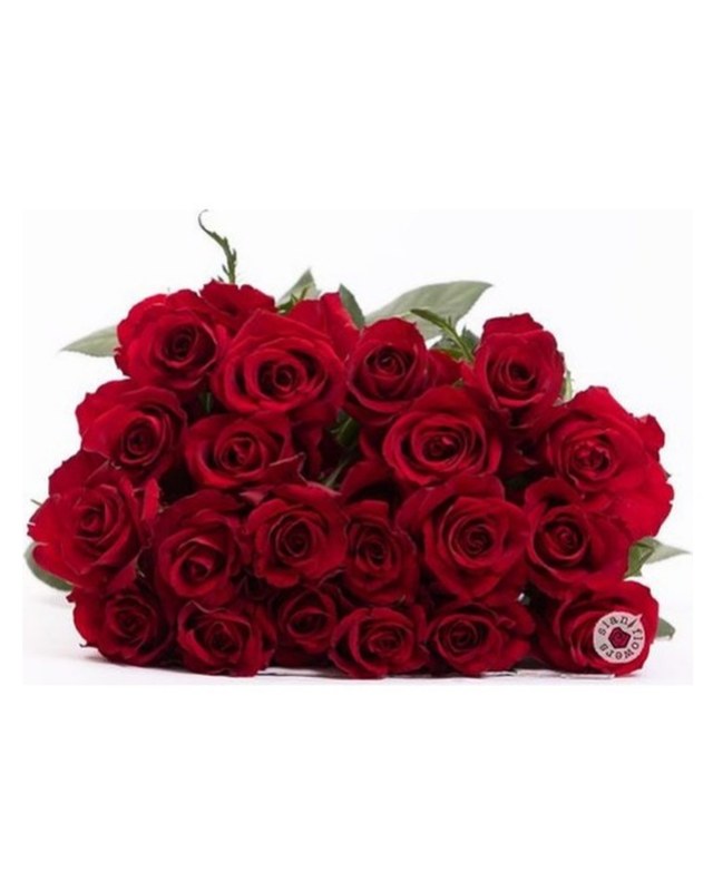 Ever Red